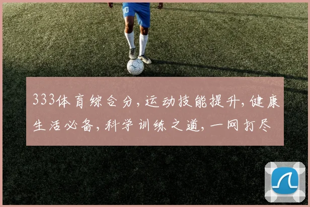 333体育综合分,运动技能提升,健康生活必备,科学训练之道,一网打尽