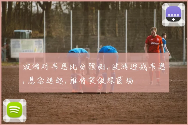 波鸿对韦恩比分预测,波鸿迎战韦恩,悬念迭起,谁将笑傲绿茵场