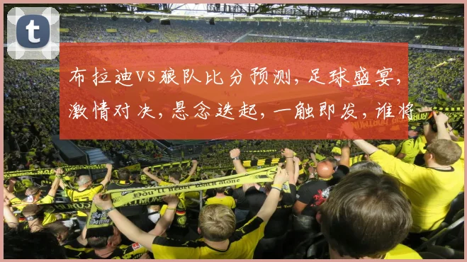 布拉迪vs狼队比分预测,足球盛宴,激情对决,悬念迭起,一触即发,谁将问鼎