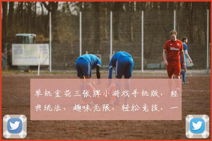 单机金花三张牌小游戏手机版，经典玩法，趣味无限，轻松竞技，一触即达，三逗乐翻天