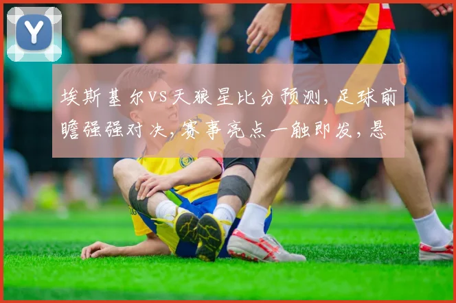 埃斯基尔vs天狼星比分预测,足球前瞻强强对决,赛事亮点一触即发,悬念重重,谁将问鼎